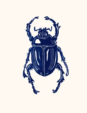 Scarabée